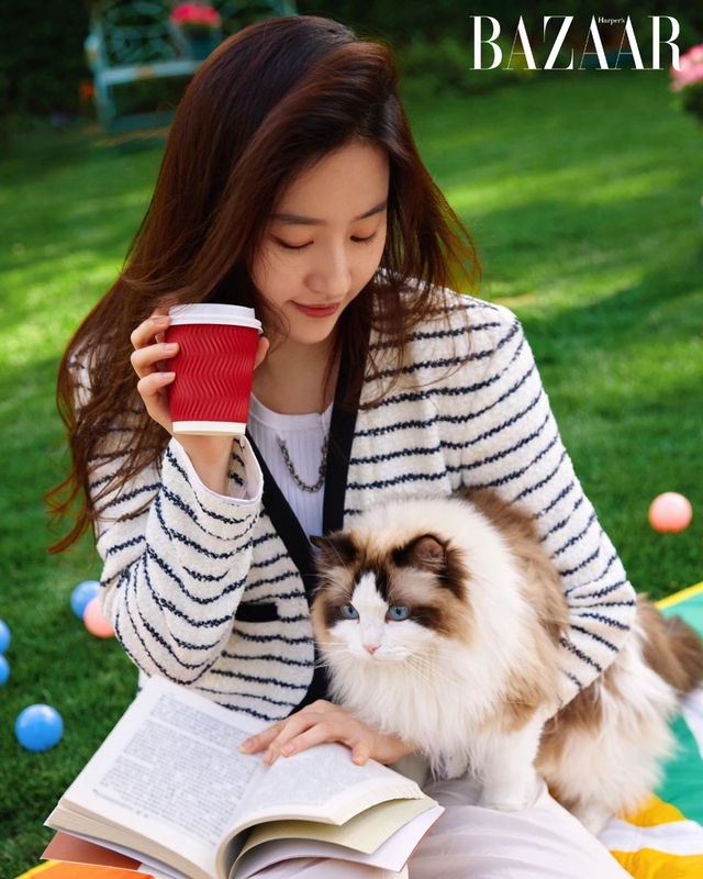 Nữ diễn viên chăm sóc mèo hoang và yêu động vật