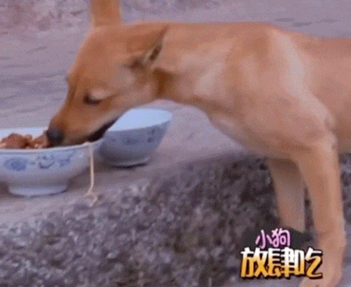 Vết thương và ảnh hưởng sức khỏe của Sa Dật Ảnh minh họa sự cố sức khỏe của Sa Dật