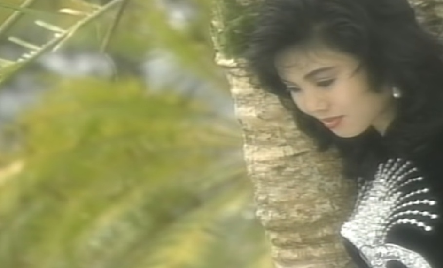 Nữ ca sĩ đem con 1 tháng đi diễn: Anh Lý Hải bảo tôi, em đừng đến nữa - Ảnh 4. Hình ảnh Thùy Trang thời trẻ