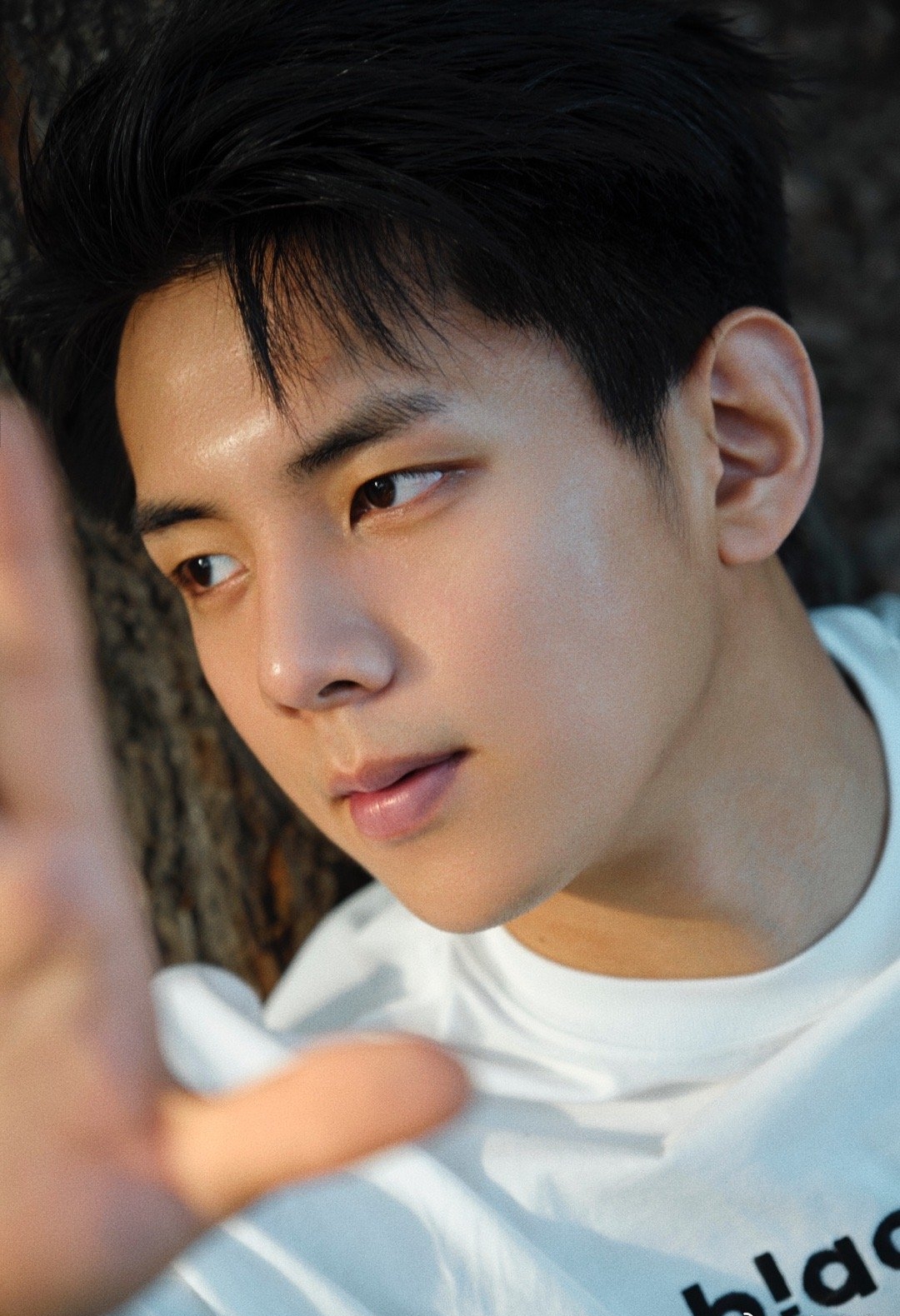 Chân dung Vương Niên Tương Thành