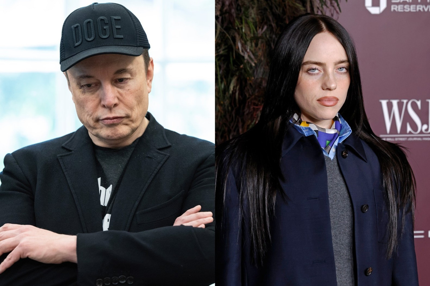 Elon Musk đáp trả- Ảnh 1. Elon Musk mỉa mai Billie Eilish