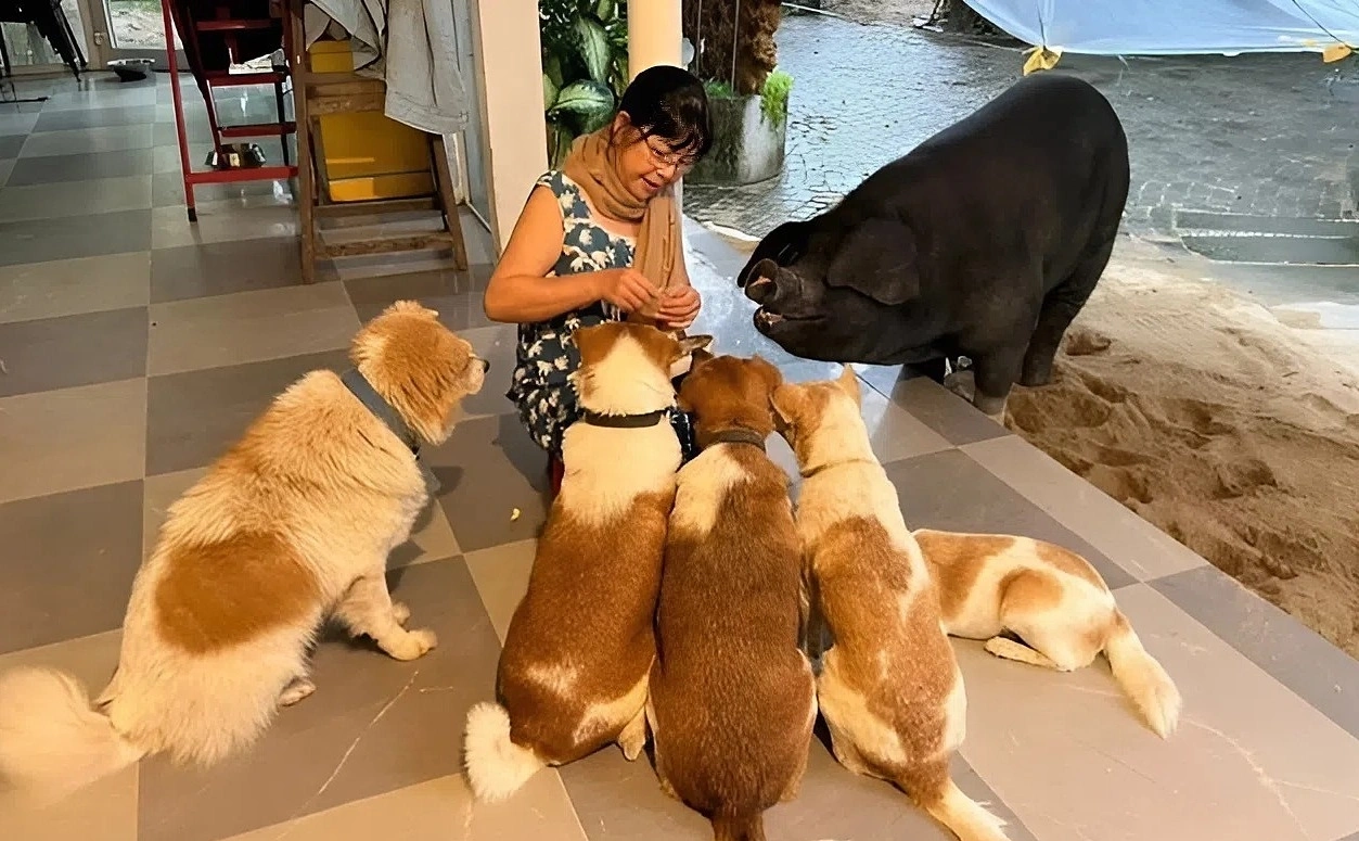 Thú cưng được đặt tên và chăm sóc chu đáo