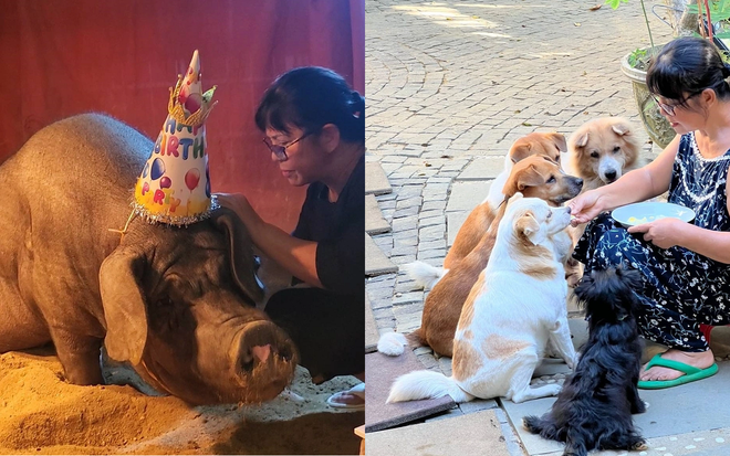 Nữ ca sĩ bên các thú cưng trong biệt thự